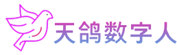 天鸽数字人